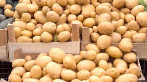 5 a day nutrition potatoes do not count